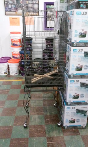 Pet Store «The Pet Zone», reviews and photos, 20 W Oak St, Pittston, PA 18640, USA