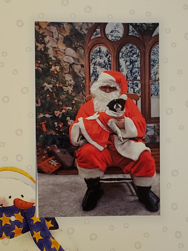 Pet Supply Store «Care-A-Lot Pet Supply Indian River», reviews and photos, 5457 Indian River Rd, Virginia Beach, VA 23464, USA