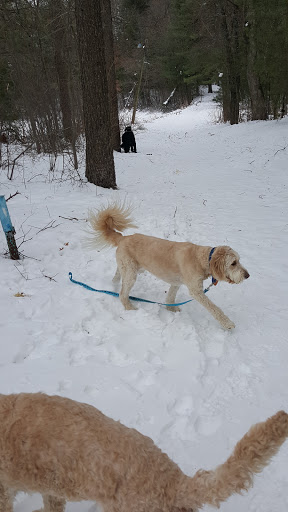 Dog Park «Sharon Dog Park», reviews and photos, 34 E Foxboro St, Sharon, MA 02067, USA