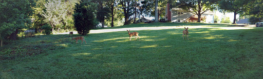 Country Club «Hunting Creek Country Club», reviews and photos, 6807 Foxcroft Rd, Prospect, KY 40059, USA