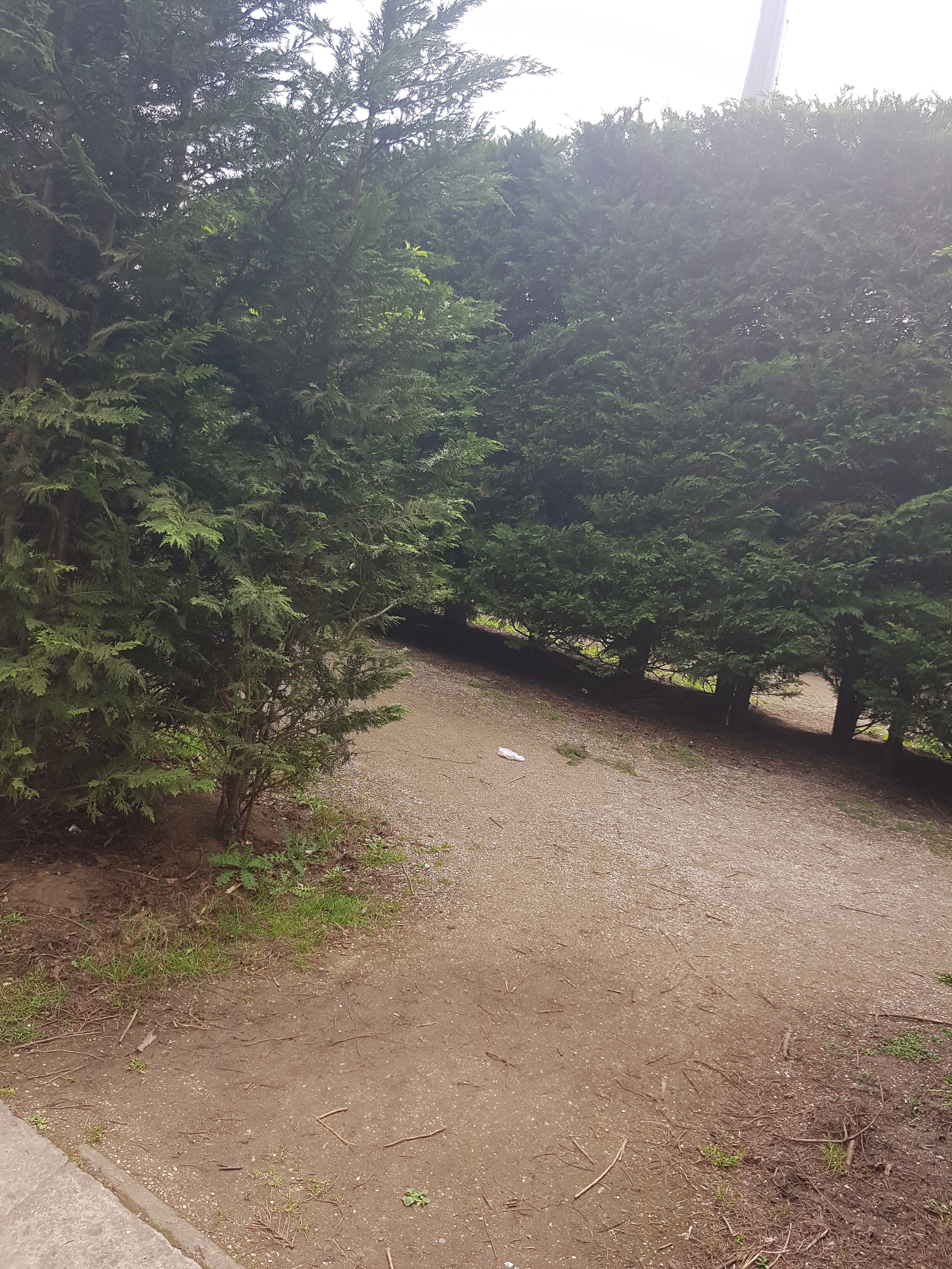 Photo n° 11 de l'avis de Mériame. fait le 16/04/2018 à 15:22