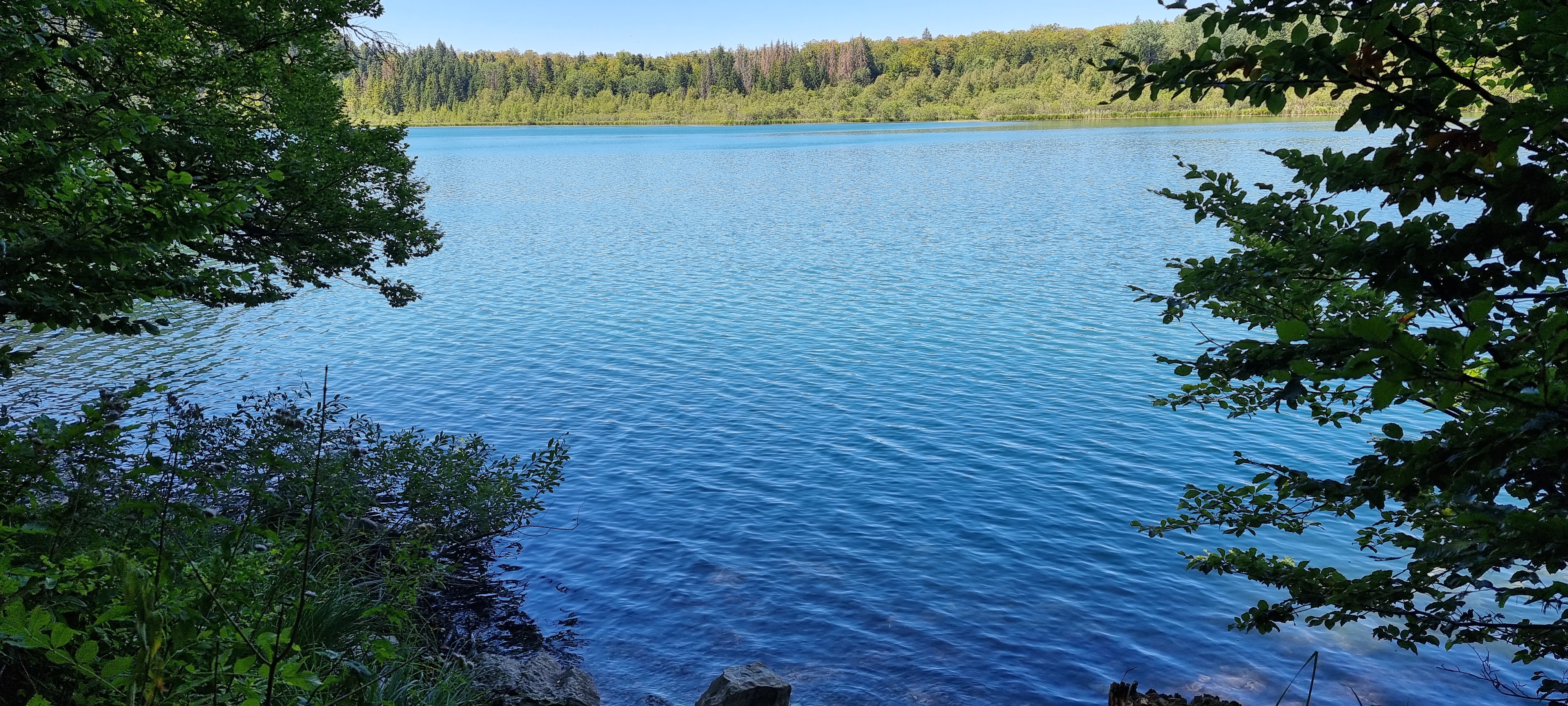 Photo n° 2 de l'avis de Stéphane.U fait le 15/08/2022 à 15:28
