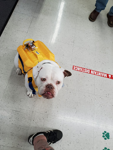 Pet Supply Store «Copper Creek Mercantile», reviews and photos, 4415 River Rd N, Keizer, OR 97303, USA