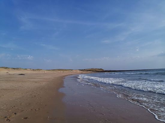Du petit pont beach