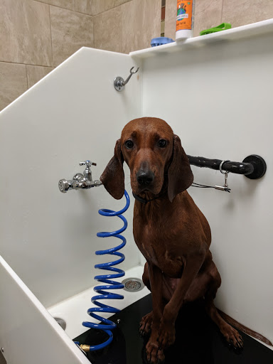 Pet Supply Store «EarthWise Pet Supply», reviews and photos, 7316 Yankee Rd, Liberty Township, OH 45044, USA