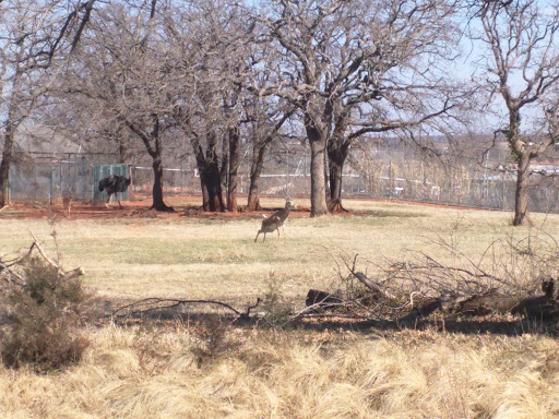 Zoo «Oklahoma City Zoo», reviews and photos, 2000 Remington Pl, Oklahoma City, OK 73111, USA