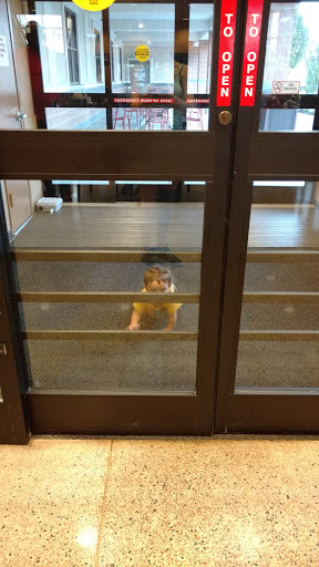 Supermarket «Wegmans», reviews and photos, 2281 Carl D. Silver Parkway, Fredericksburg, VA 22401, USA