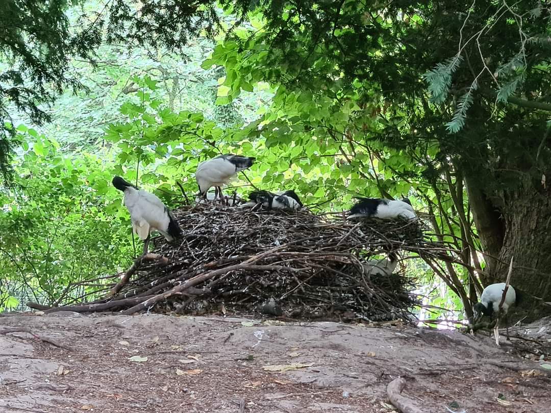 Photo n° 7 de l'avis de Maïté.e fait le 03/08/2022 à 19:24