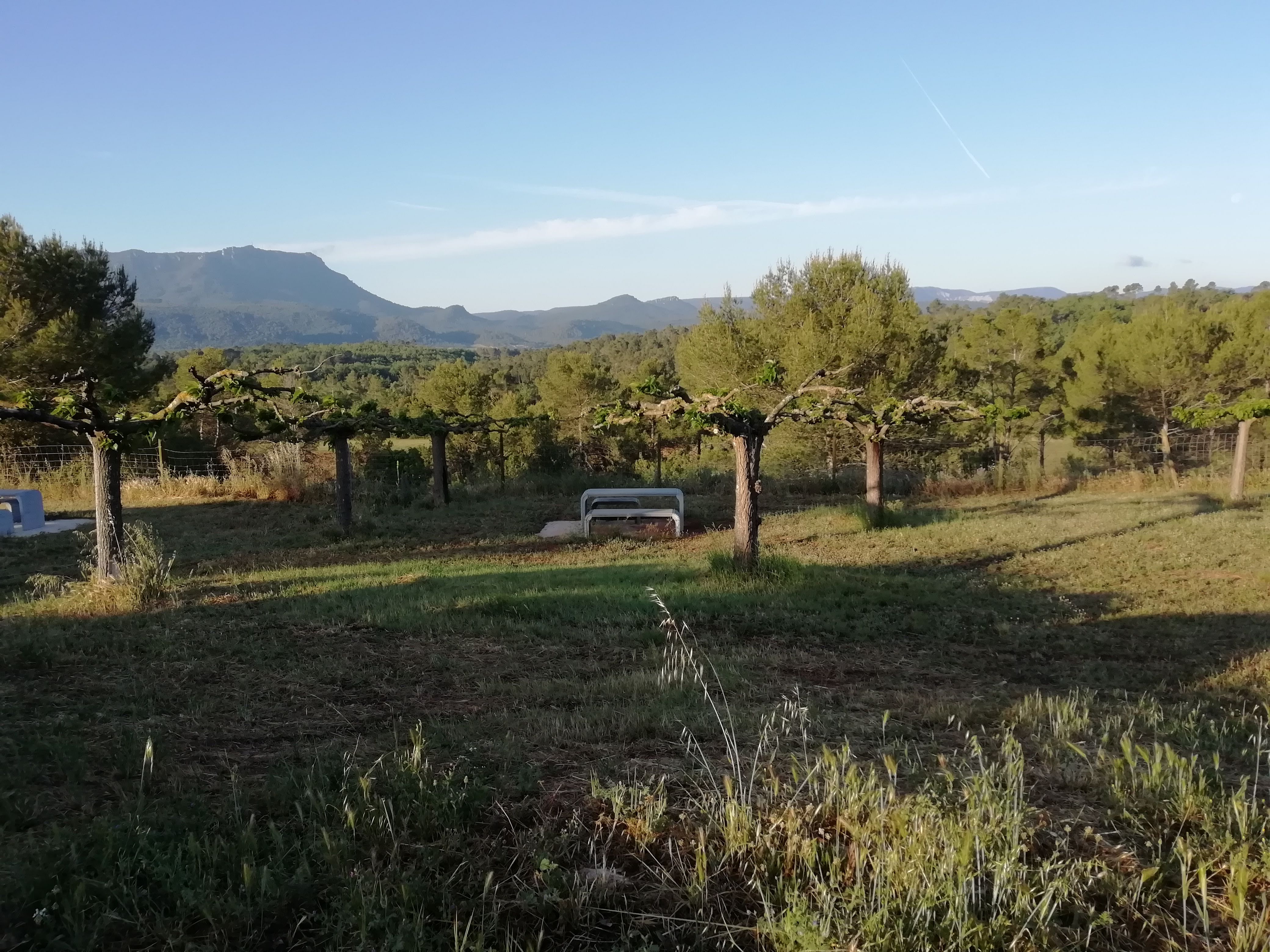 Photo n° 14 de l'avis de Serzh. fait le 04/06/2019 à 13:52