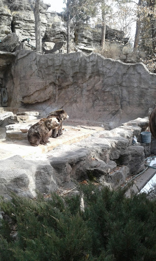 Zoo «Monkey Island», reviews and photos, 8 E 23rd Ave, Denver, CO 80205, USA