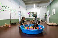 freeDOGm - Photo 9 - Car repair in Miami, FL, Miami