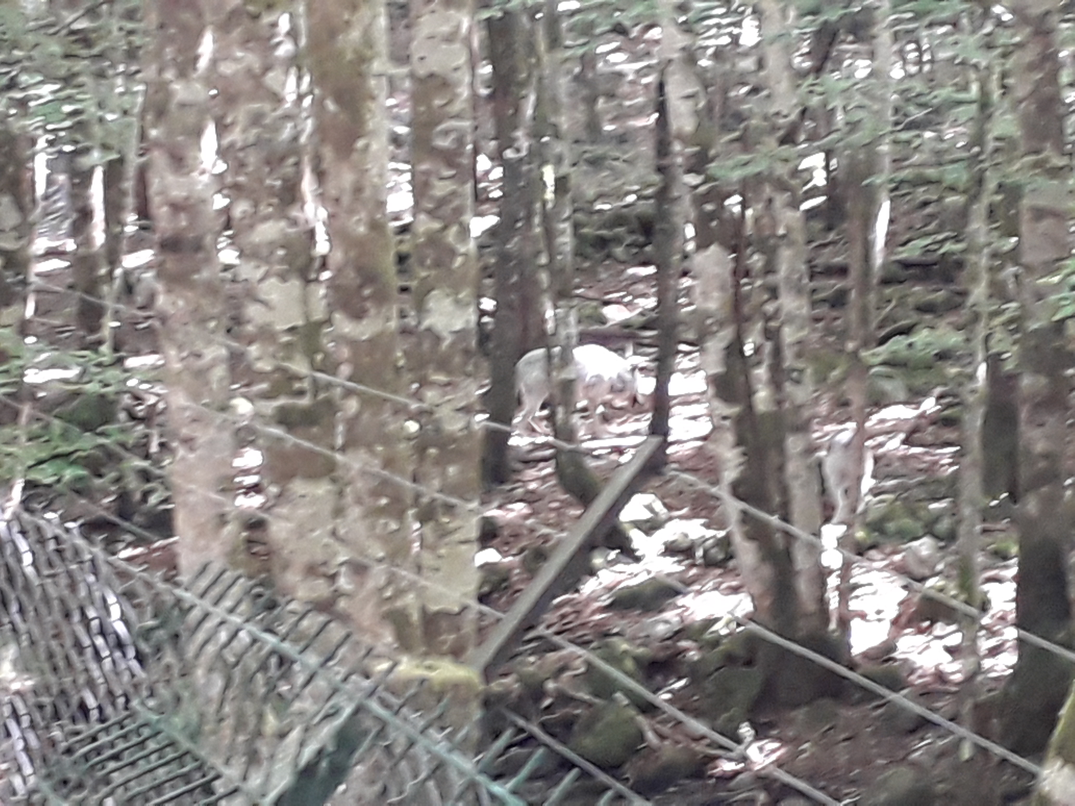 Photo n° 6 de l'avis de Franck.i fait le 19/07/2020 à 15:45