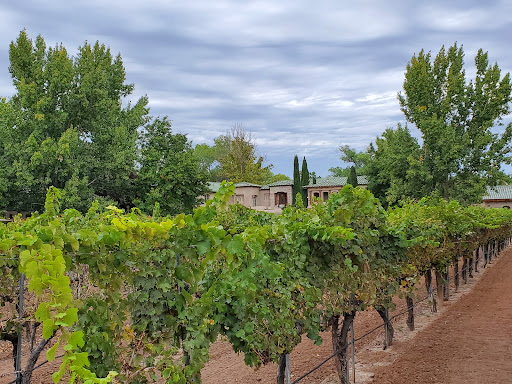 Winery «Casa Rondena Winery», reviews and photos, 733 Chavez Rd, Los Ranchos De Albuquerque, NM 87107, USA