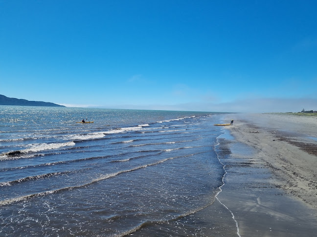 Comments and reviews of Kapiti Island Eco
