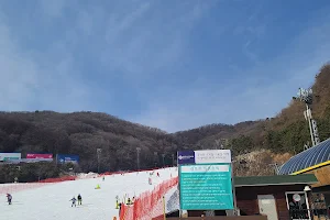 Ski Gonjiam image