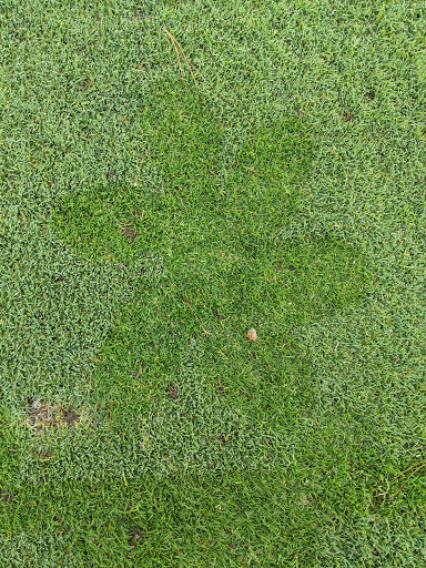 Golf Course «Del Monte Golf Course», reviews and photos, 1300 Sylvan Rd, Monterey, CA 93940, USA