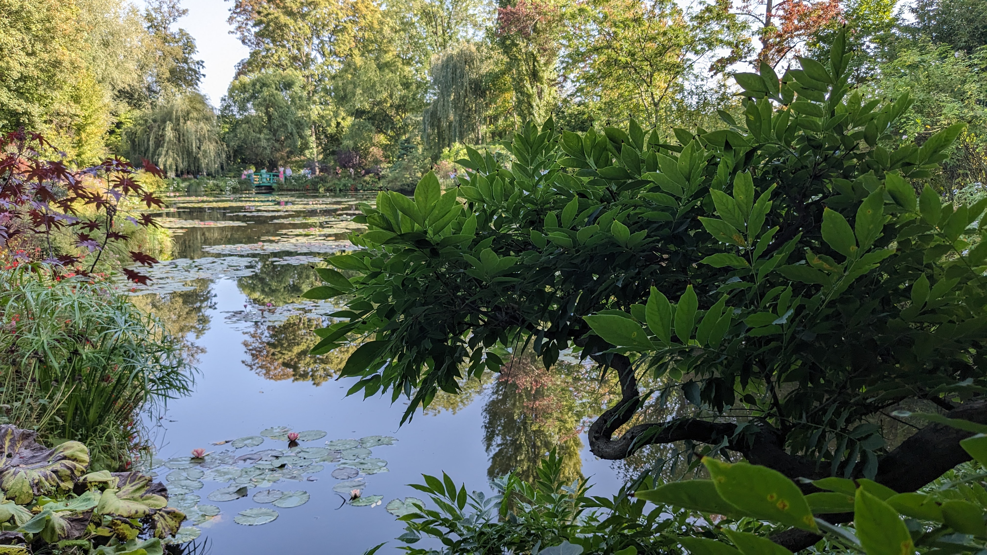 Photo n° 15 de l'avis de Laurence.o fait le 11/10/2023 à 19:39