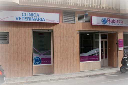 Clínica Veterinaria Babieca - Gandia