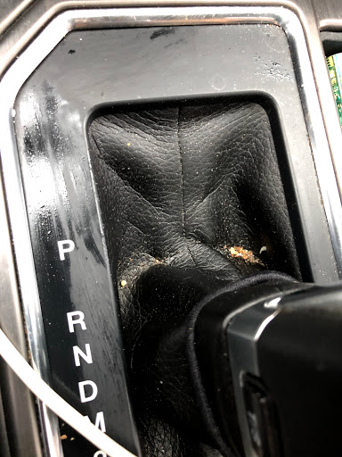 Car Wash «Softway Car Wash», reviews and photos, 12911 W 143rd St, Homer Glen, IL 60491, USA