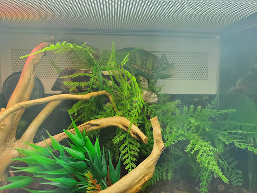 Pet Supply Store «PetSmart», reviews and photos, 2741 El Camino Real, Tustin, CA 92782, USA