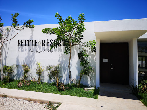 Petite Resort