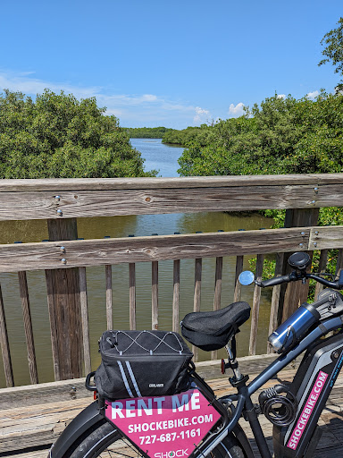 Park «Wall Springs Park», reviews and photos, 3725 Desoto Blvd, Palm Harbor, FL 34683, USA