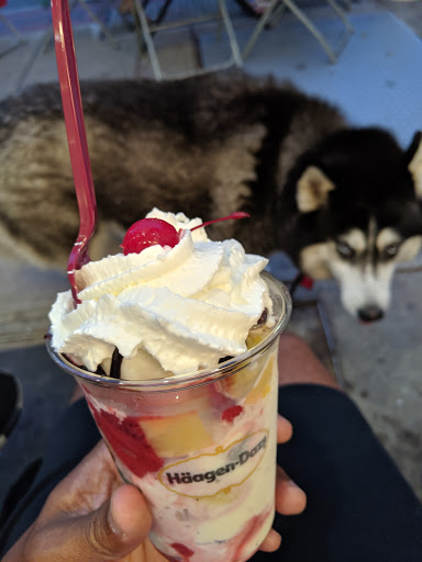 Ice Cream Shop «Häagen-Dazs® Ice Cream Shop», reviews and photos, 22 E Ridgewood Ave, Ridgewood, NJ 07450, USA