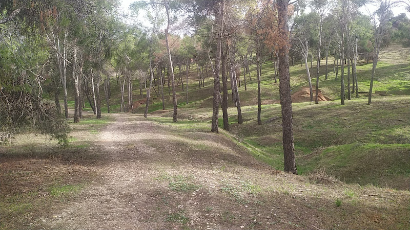 Parque Forestal Los Gavilanes