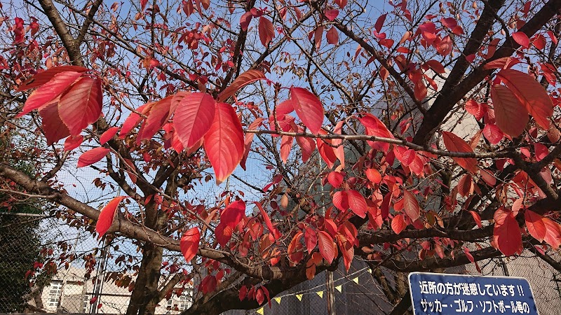 春日市桜ヶ丘公民館