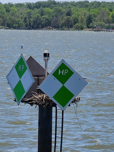 Boat Tour Agency «Watermark», reviews and photos, 1 Dock St, Annapolis, MD 21401, USA