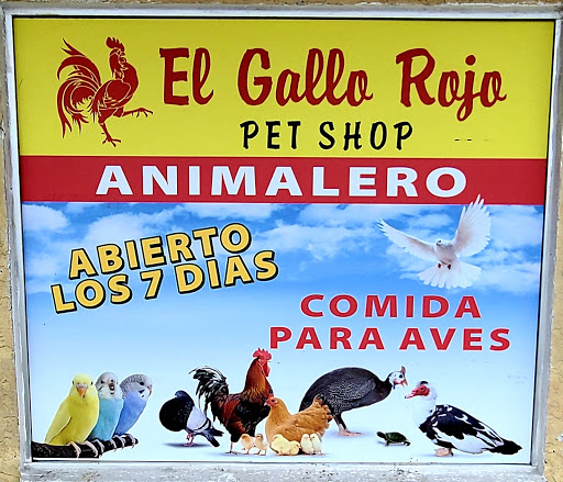 Pet Store «El Gallo Rojo Pet Shop», reviews and photos, 5901 N Armenia Ave, Tampa, FL 33603, USA