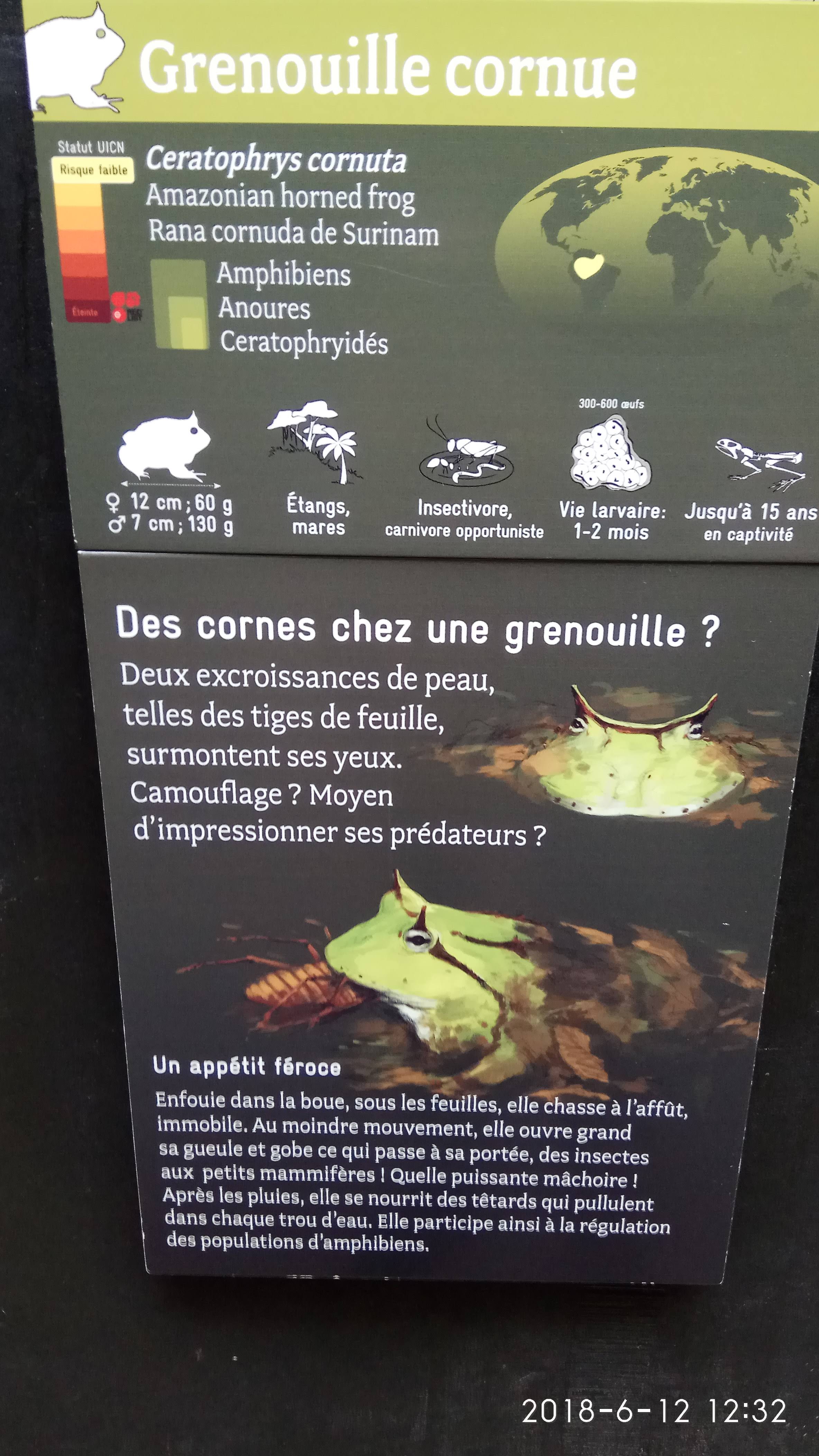 Photo n° 37 de l'avis de Swiss.e fait le 15/06/2018 à 19:24