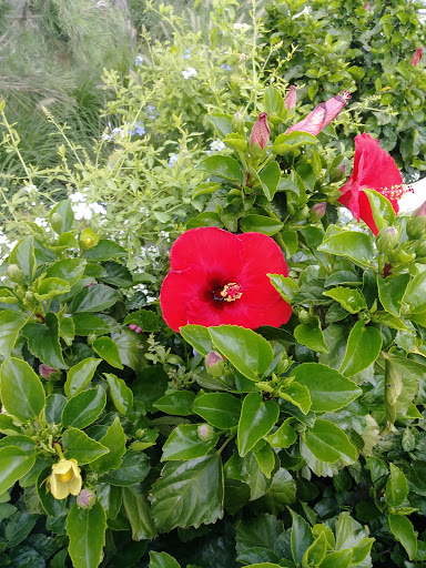 Aquarium «New York Aquarium», reviews and photos, 602 Surf Ave, Brooklyn, NY 11224, USA