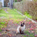Photo n°7 de l'avis de Madlen.c fait le 16/03/2018 à 18:25 sur le  Casa das Palmeiras - Nature Houses & Pedagogic Farm à Mangualde