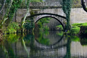 Parque de S João, Amonde. image