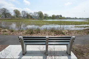 Baisley Pond Park image