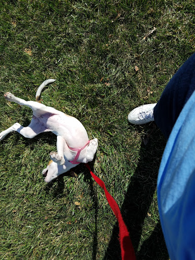 Park «Hawthorn Park», reviews and photos, 6195 Sunny Spring, Columbia, MD 21044, USA