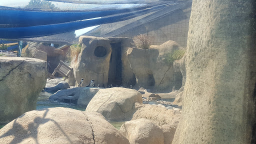 Zoo «Tulsa Zoo», reviews and photos, 6421 E 36th St N, Tulsa, OK 74115, USA