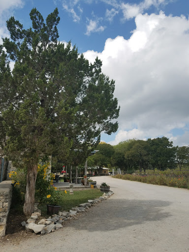 Vineyard «Dry Comal Creek Winery & Vineyards», reviews and photos, 1741 Herbelin Rd, New Braunfels, TX 78132, USA