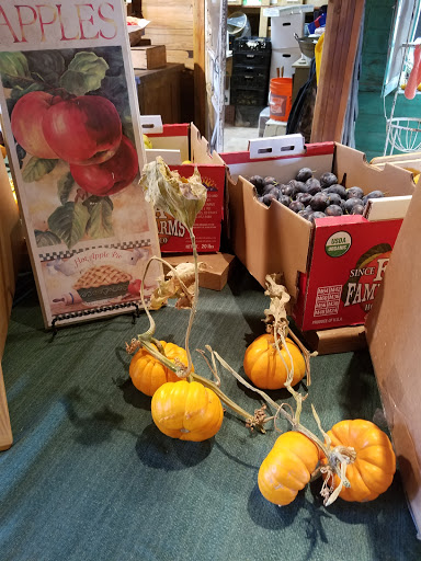 Berry Patch Farms, 13785 Potomac St, Brighton, CO 80601, USA, 