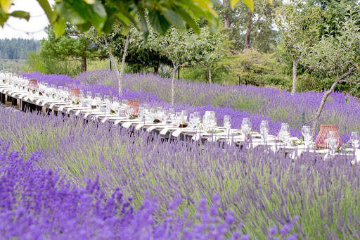 Wedding Venue «Kingston House Weddings & Events», reviews and photos, 25300 Miller Bay Rd NE, Kingston, WA 98346, USA