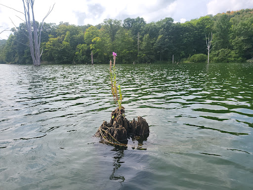 Tourist Attraction «Monksville reservoir», reviews and photos, 111 Beech Rd, Hewitt, NJ 07421, USA