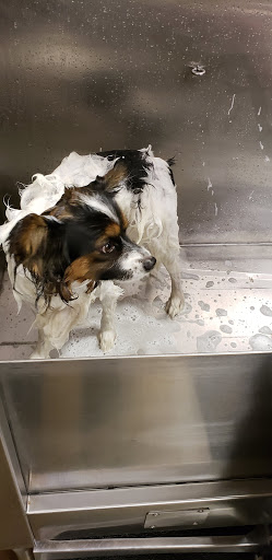 Pet Supply Store «Lemos Feed & Pet Supply», reviews and photos, 1320 Main St, Morro Bay, CA 93442, USA