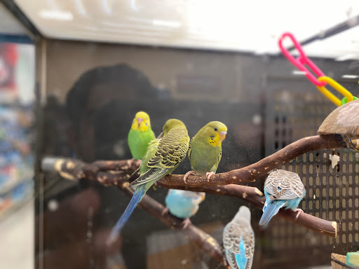 Pet Supply Store «PetSmart», reviews and photos, 9870 Brook Rd, Glen Allen, VA 23059, USA