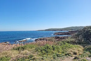 Boat Harbour Whale Watch Lookout image
