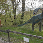 Photo n° 7 de l'avis de Céline,.a fait le 28/04/2023 à 18:43 pour PARC DINO-ZOO à Étalans