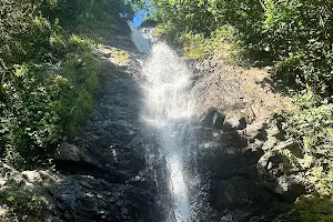 Biausevu Waterfall image