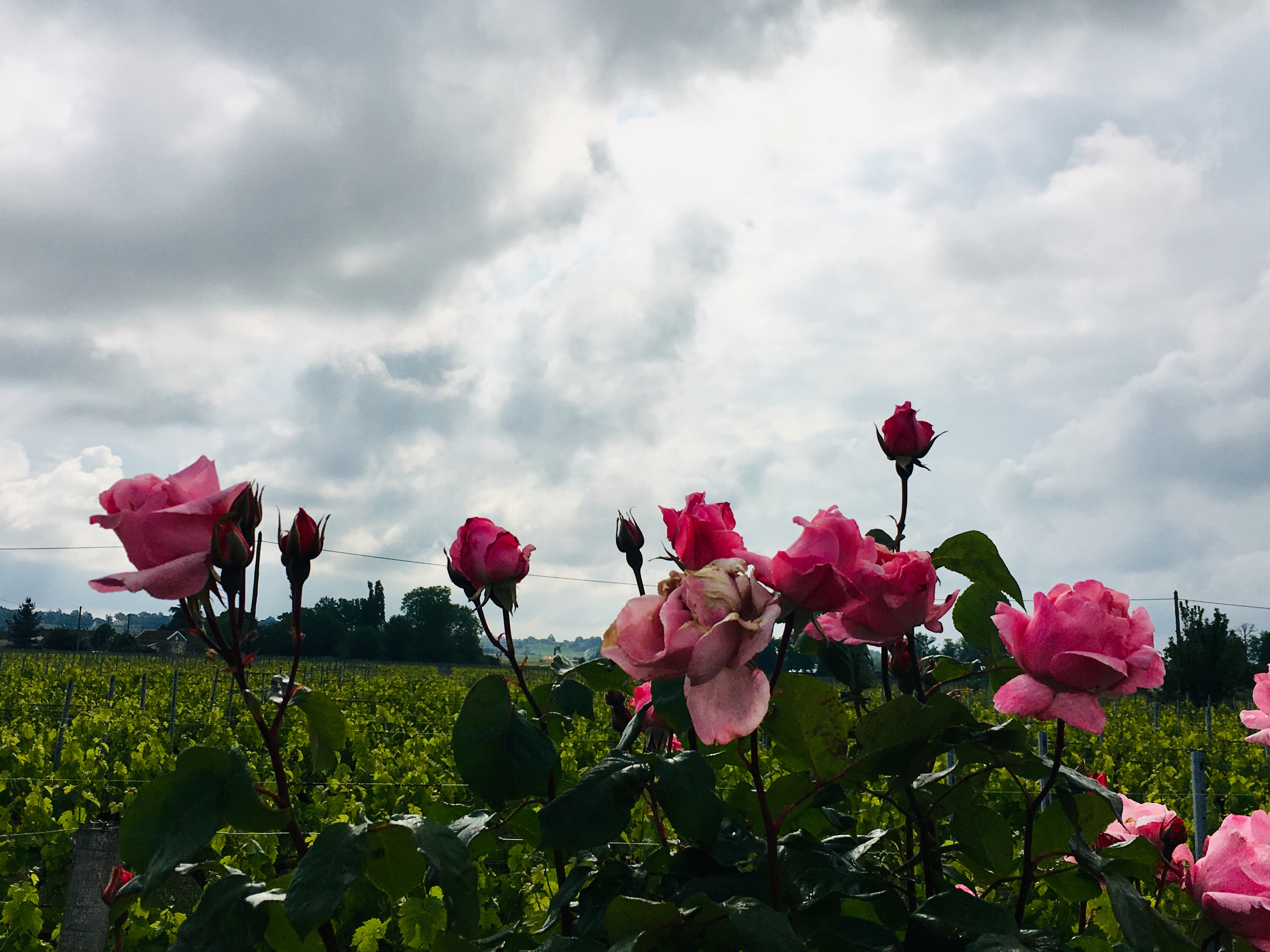 Photo n° 2 de l'avis de S. fait le 20/05/2019 à 11:45