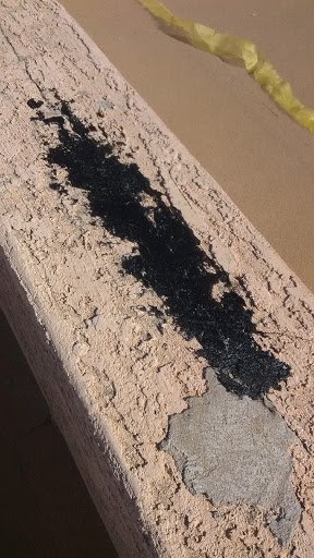 Park «La Paloma Park», reviews and photos, 6579 S Amanda Blvd, Chandler, AZ 85249, USA