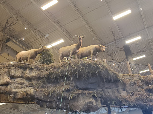 Sporting Goods Store «Bass Pro Shops», reviews and photos, 1000 Basspro Dr, Houston, TX 77047, USA